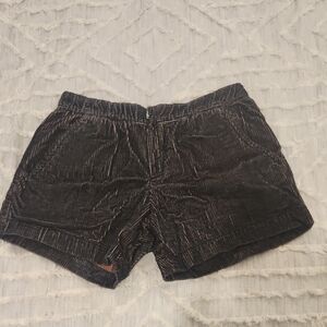 Theyskens' Theory Black and Tan Shorts with Relaxed Fit Size 4!